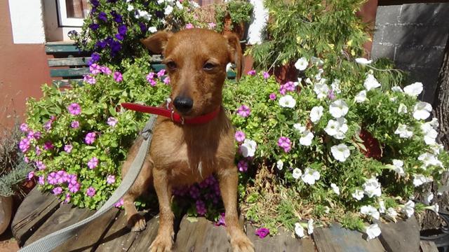 multimedia-foto43222-14-5