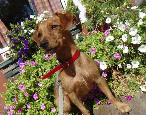 multimedia-foto43223-14-5