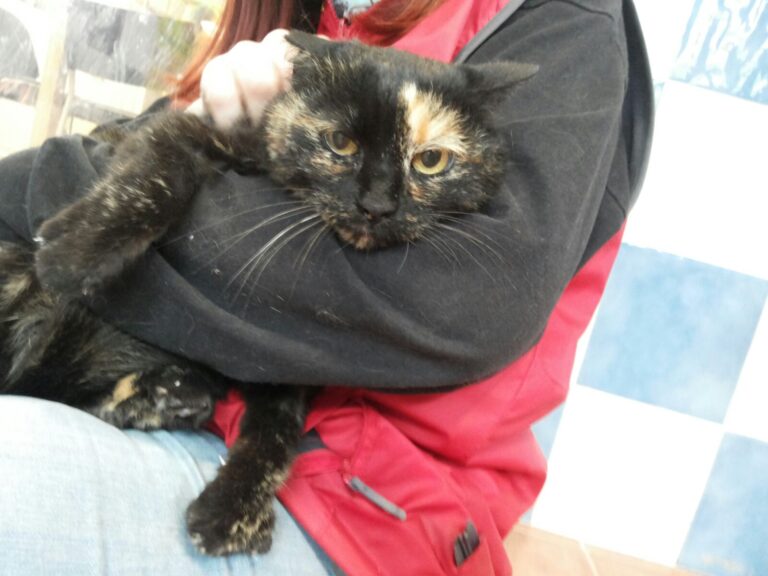 multimedia-foto43237-448-5