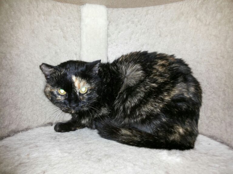 multimedia-foto43238-449-5