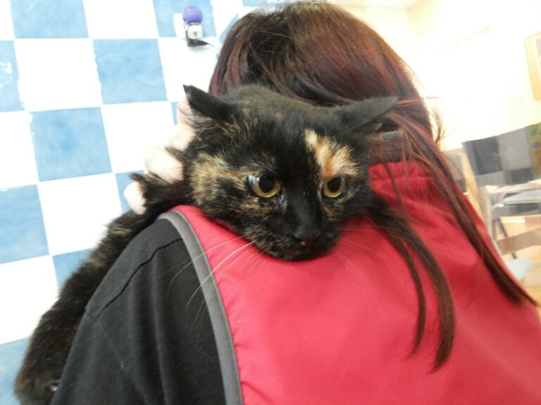 multimedia-foto43239-449-5