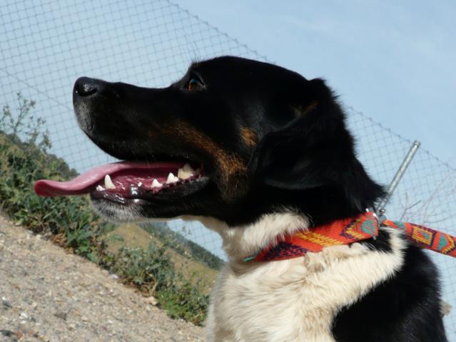 multimedia-foto43240-331-5