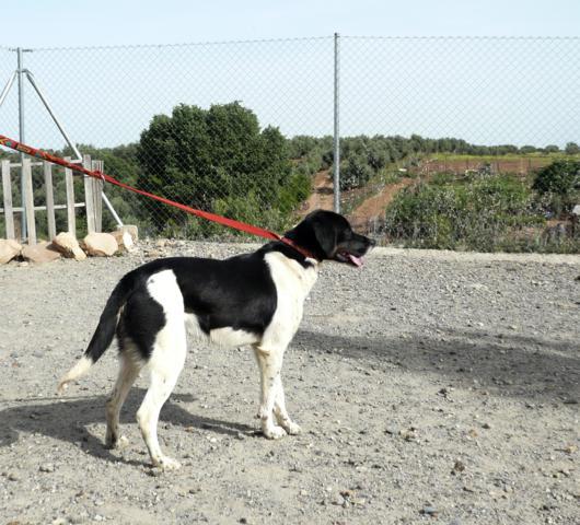 multimedia-foto43243-332-5