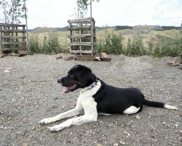 multimedia-foto43244-344-5