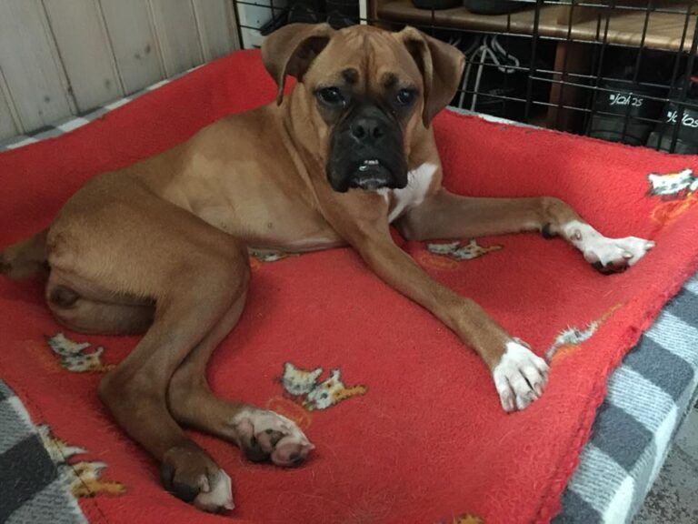 multimedia-foto43245-566-5