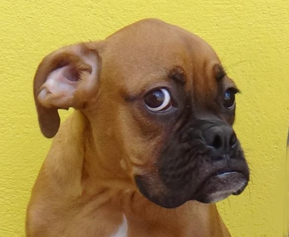 multimedia-foto43246-567-5