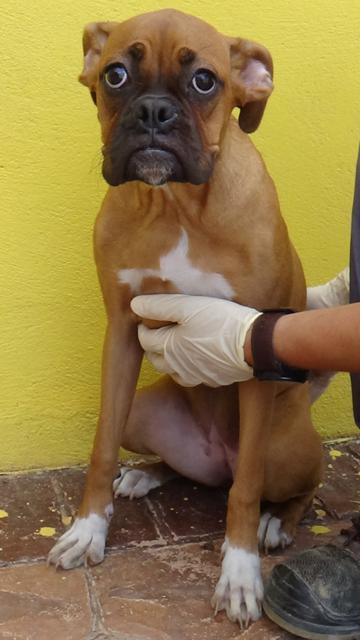 multimedia-foto43247-567-5