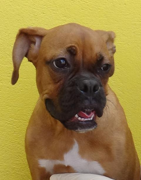 multimedia-foto43248-567-5