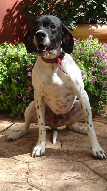 multimedia-foto43249-811-3