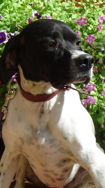 multimedia-foto43250-811-3