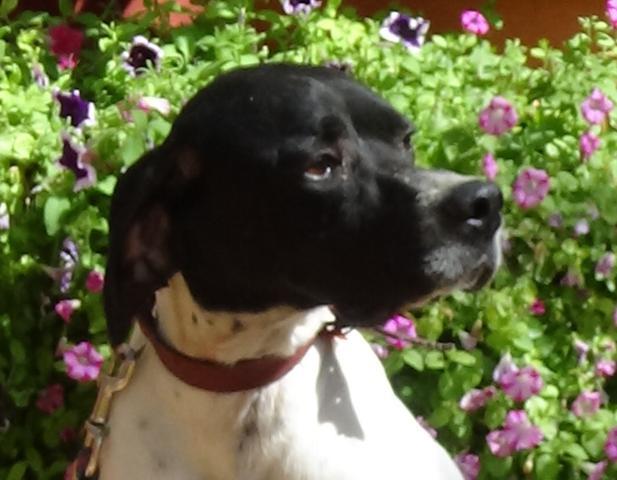 multimedia-foto43251-811-3