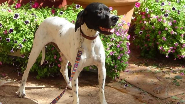 multimedia-foto43252-812-3