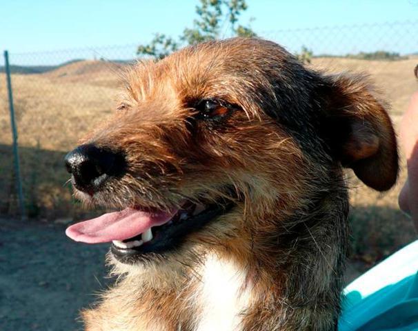 multimedia-foto43302-714-3