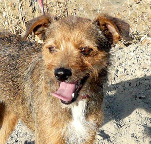 multimedia-foto43303-715-3