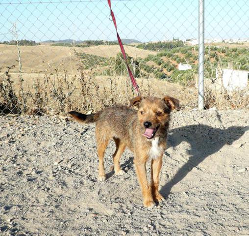 multimedia-foto43304-715-3