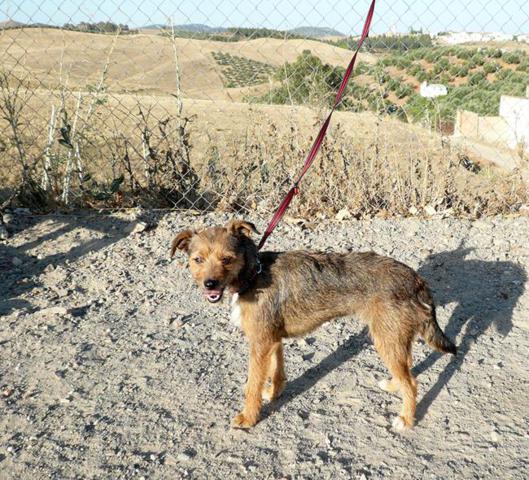 multimedia-foto43305-741-3