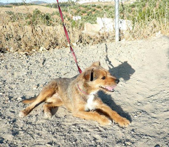 multimedia-foto43306-741-3