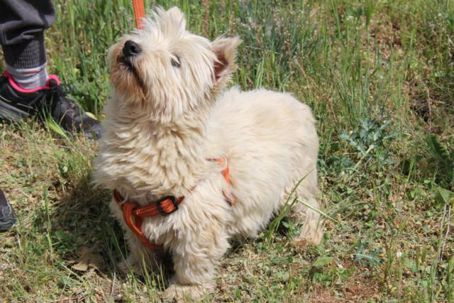 multimedia-foto43319-201-3