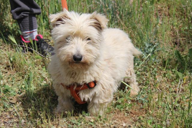 multimedia-foto43321-202-3