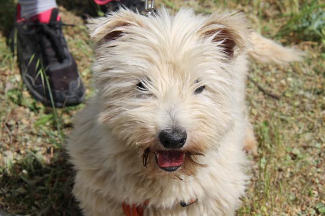 multimedia-foto43322-202-3