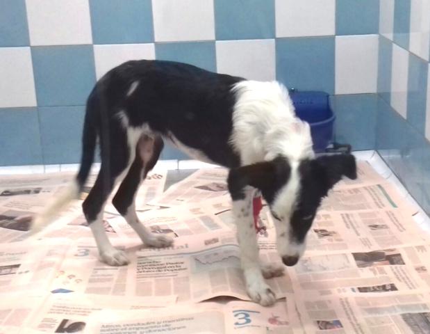 multimedia-foto43330-70-3