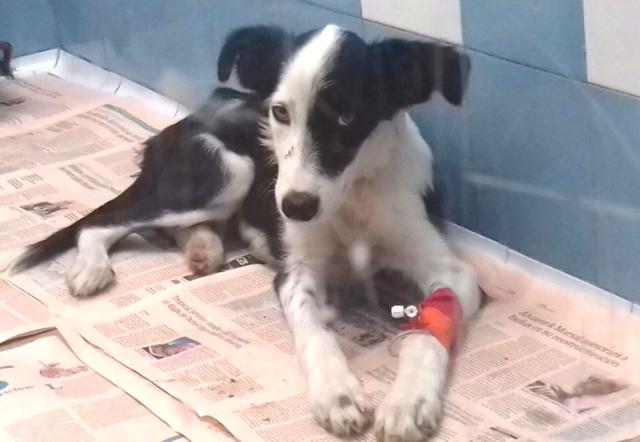 multimedia-foto43331-70-3