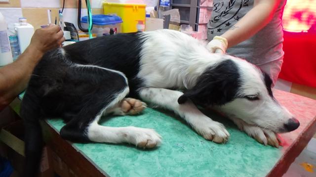 multimedia-foto43332-71-3