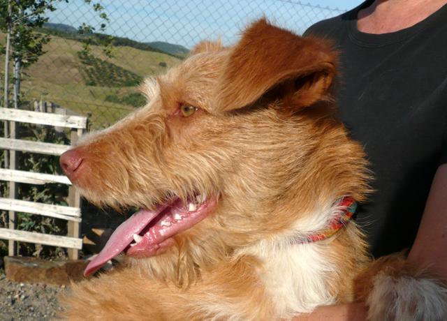 multimedia-foto43339-756-3