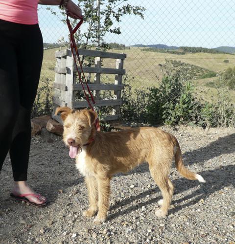 multimedia-foto43340-757-3