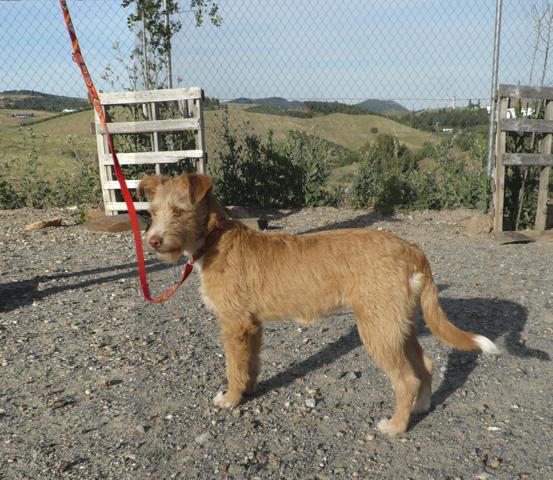 multimedia-foto43341-757-3