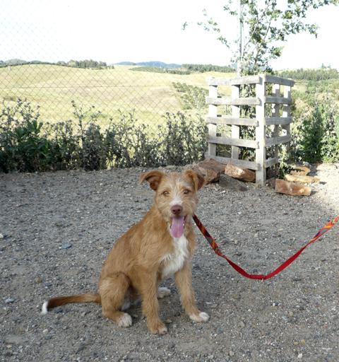 multimedia-foto43342-758-3