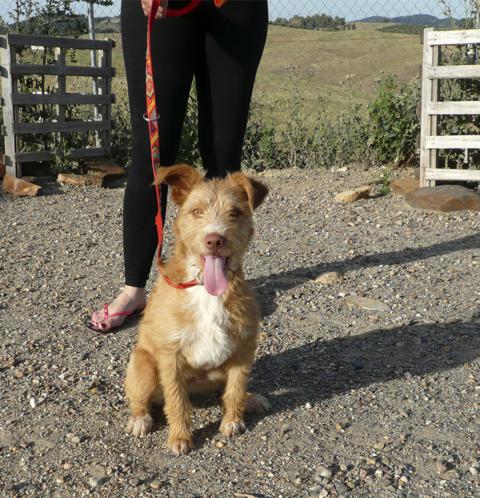 multimedia-foto43343-771-3