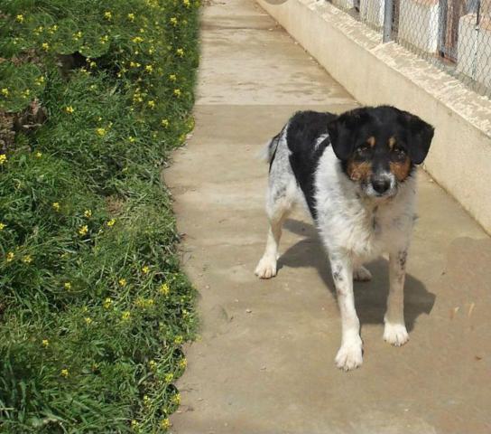 multimedia-foto43344-109-3