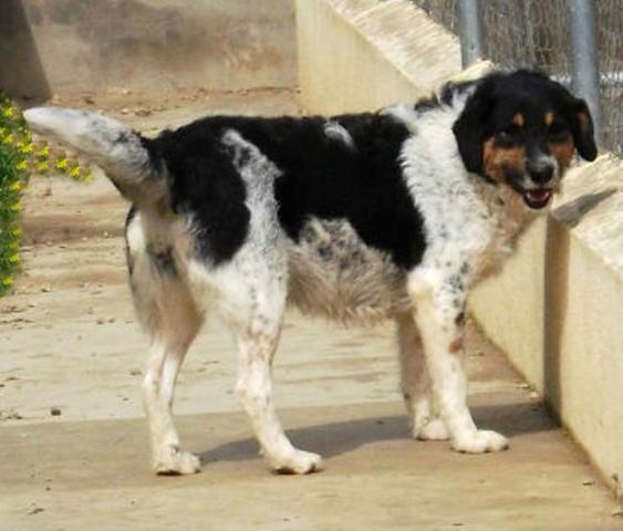 multimedia-foto43345-109-3