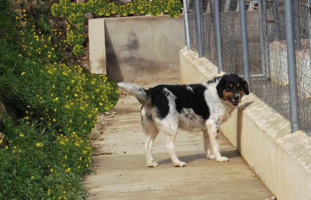 multimedia-foto43346-109-3