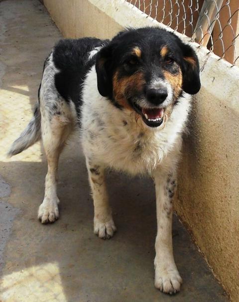 multimedia-foto43347-110-3