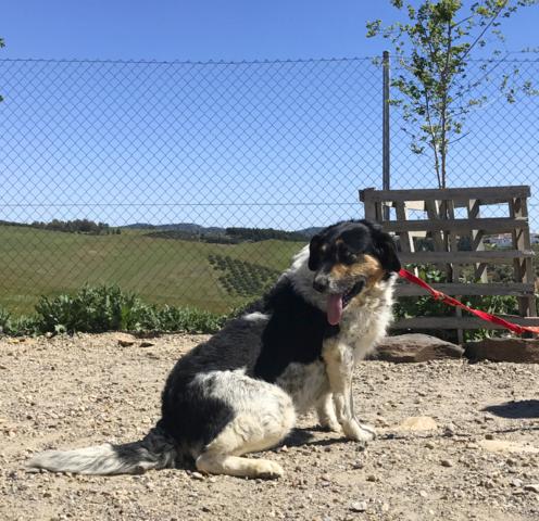 multimedia-foto43348-136-3