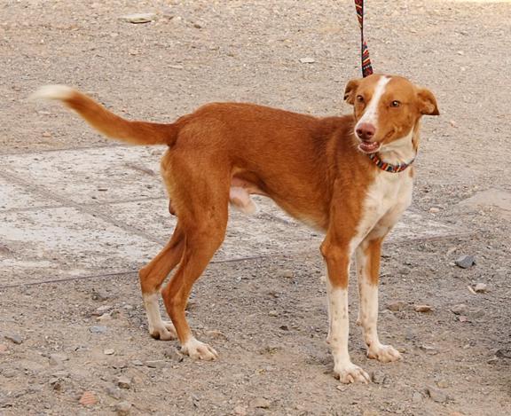 multimedia-foto43353-589-3