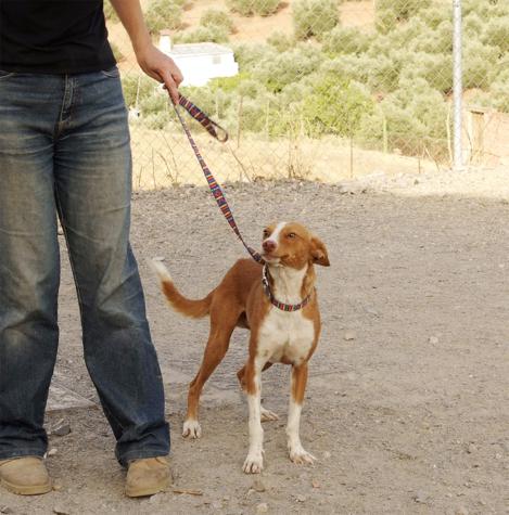 multimedia-foto43354-589-3