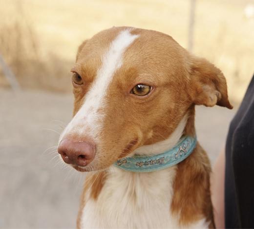 multimedia-foto43355-590-3