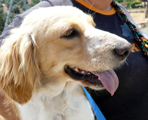 multimedia-foto43356-831-3