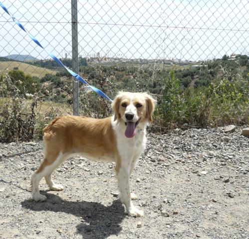 multimedia-foto43357-831-3