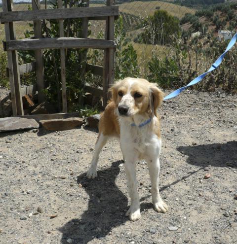 multimedia-foto43358-832-3