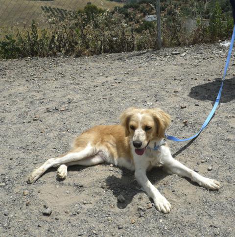 multimedia-foto43359-832-3