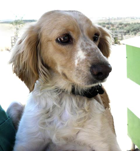 multimedia-foto43360-844-3