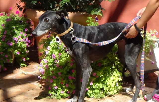 multimedia-foto43362-346-3