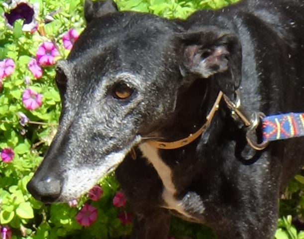 multimedia-foto43363-347-3