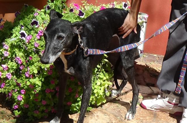 multimedia-foto43364-347-3