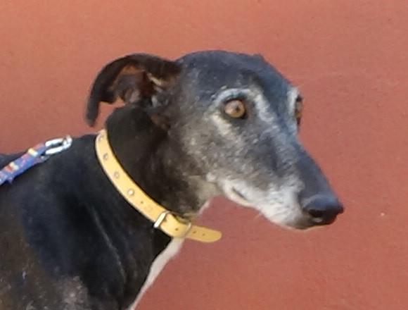 multimedia-foto43366-366-3