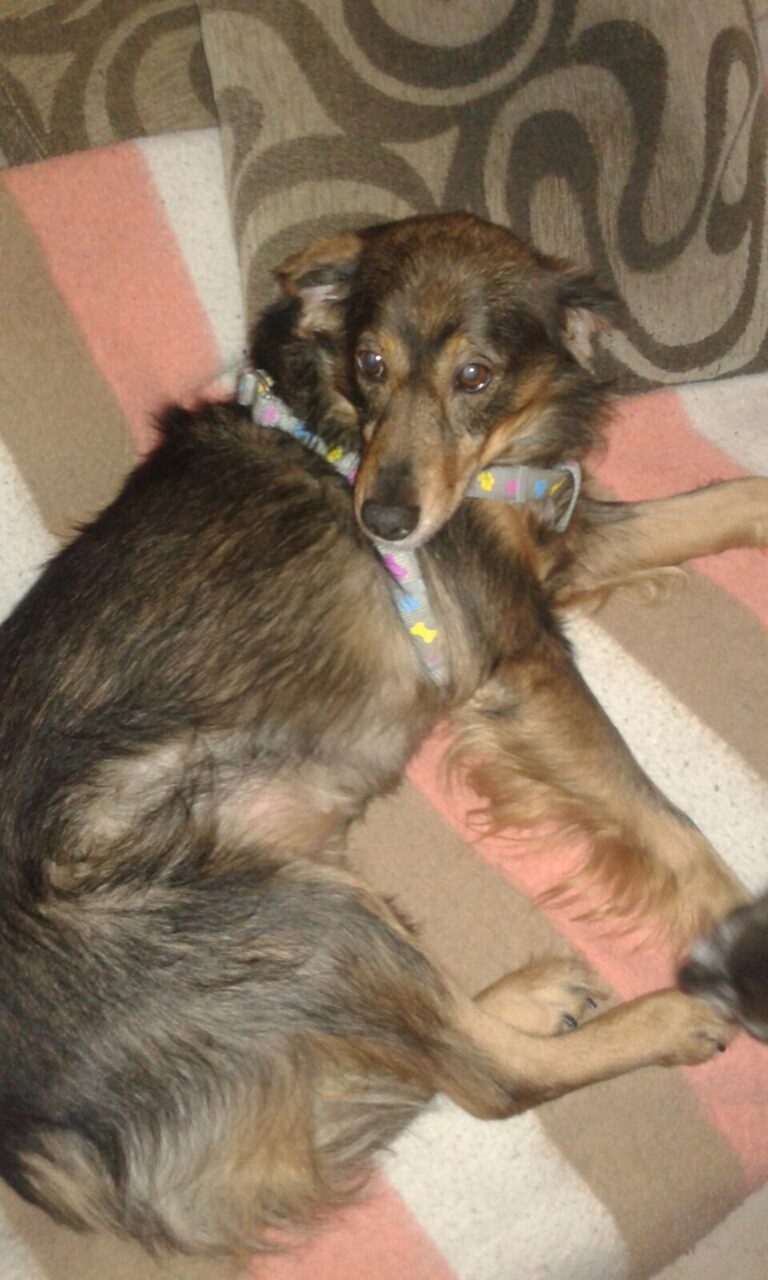 multimedia-foto43416-345-3